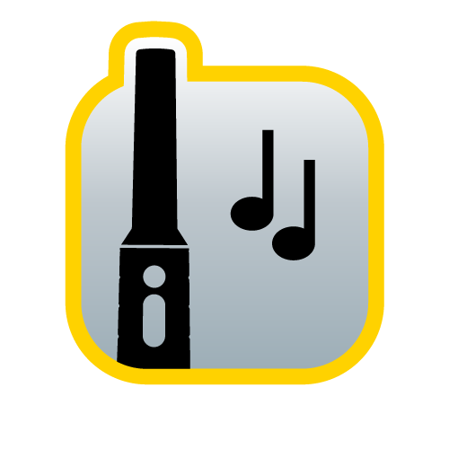 Audio indication