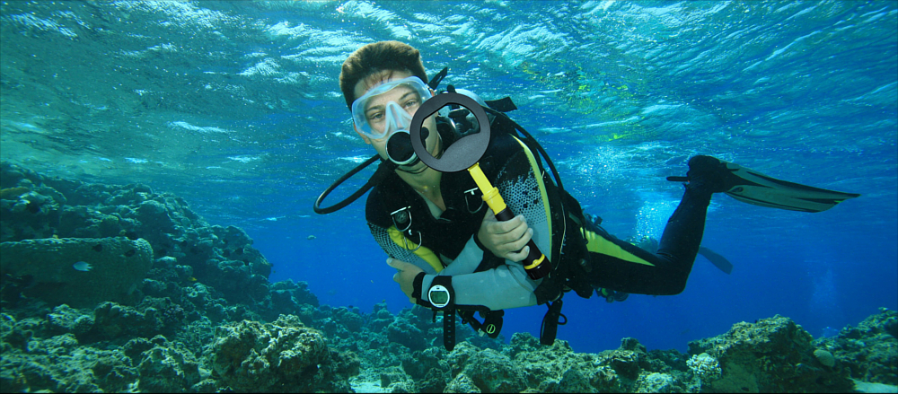 Nokta PulseDive Scuba Detector