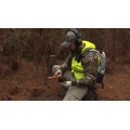 Garrett Pro-Pointer AT Pinpointer