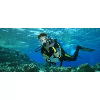 Nokta PulseDive Scuba Detector 2 in 1 (Yellow)