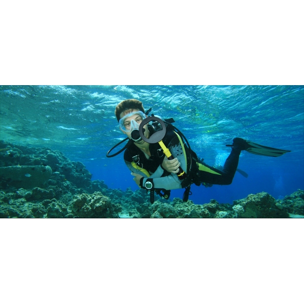 Nokta PulseDive Scuba Detector 2 in 1 (Yellow)