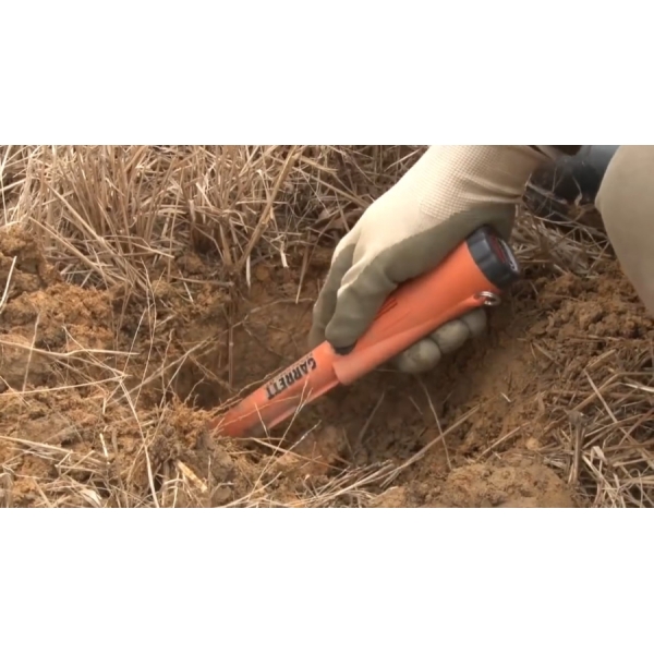Garrett Pro-Pointer AT Z-Lynk Pinpointer